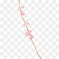 粉红色 花 樱花-空若网 粉红色 花 樱花-空若网