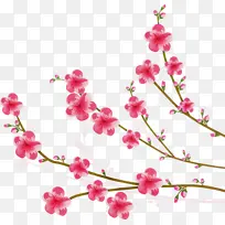 花朵 粉色 树枝-空若网 花朵 粉色 树枝-空若网