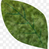 Ҷ ��ɫ ��-������