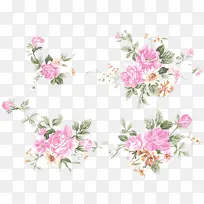 粉色 花朵 植物-空若网 粉色 花朵 植物-空若网