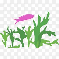 采购产品海鱼 绿色 草-空若网 采购产品海鱼 绿色 草-空若网