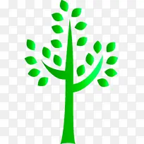 绿色 叶子 树-空若网 绿色 叶子 树-空若网