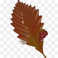 Ҷ�� ��ɫ ��-������