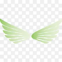 翅膀 鸟翅膀 角翅膀-空若网 翅膀 鸟翅膀 角翅膀-空若网