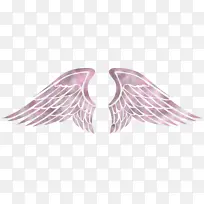 翅膀 鸟翅膀 角翅膀-空若网 翅膀 鸟翅膀 角翅膀-空若网