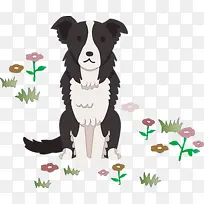 狗 草地 草坪-空若网 狗 草地 草坪-空若网