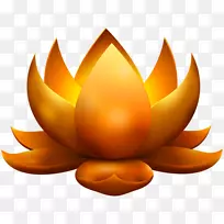 ��ź�ϼ�����-�������-������