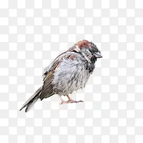 �� ˮ�ʻ� ����-������