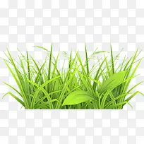 ˮ�ʻ� ���� ʪī-������