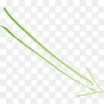 �ֻ��ͷ �ݿ� ��-������