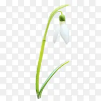 ˮ�ʻ� ���� ʪī-������