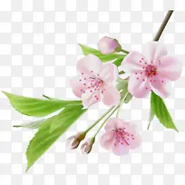 Ë®²Ê» ÑÕÁÏ ÊªÄ«-¿ÕÈôÍø Ë®²Ê» ÑÕÁÏ ÊªÄ«-¿ÕÈôÍø