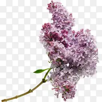 Ë®²Ê» ÓÍÆá ʪī-¿ÕÈôÍø Ë®²Ê» ÓÍÆá ʪī-¿ÕÈôÍø