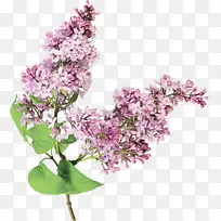 ˮ�ʻ� ���� ʪī-������