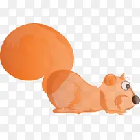 松鼠 橙色 耳朵-空若网 松鼠 橙色 耳朵-空若网