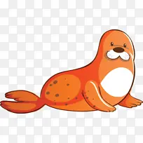 ˮ�ʺ�ʨ ��ɫ ��ͨ-������