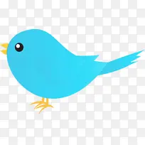 水彩鸟 水彩 油漆-空若网 水彩鸟 水彩 油漆-空若网