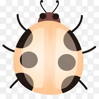 ˮ��ư�� ���� ����-������