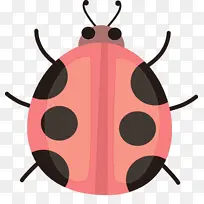 ˮ��ư�� ˮ�� ����-������