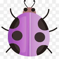 水彩瓢虫 水彩 油漆-空若网 水彩瓢虫 水彩 油漆-空若网