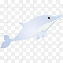 水彩画海豚 水彩画 颜料-空若网 水彩画海豚 水彩画 颜料-空若网