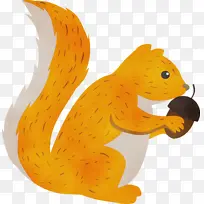 Ë®²Ê»ËÉÊó Ë®²Ê» ÑÕÁÏ-¿ÕÈôÍø Ë®²Ê»ËÉÊó Ë®²Ê» ÑÕÁÏ-¿ÕÈôÍø