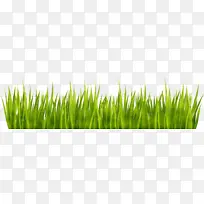 水彩画 油漆 湿墨-空若网 水彩画 油漆 湿墨-空若网