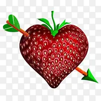 ��ݮ ��ȻʳƷ ����-������