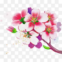 花 花瓣 粉色-空若网 花 花瓣 粉色-空若网