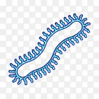虫子图标 昆虫图标 蜈蚣图标-空若网 虫子图标 昆虫图标 蜈蚣图标-空若网