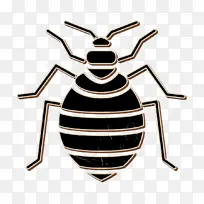 昆虫图标 臭虫图标 昆虫-空若网 昆虫图标 臭虫图标 昆虫-空若网