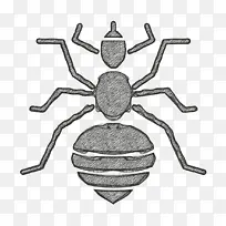 昆虫图标 虱子图标 昆虫-空若网 昆虫图标 虱子图标 昆虫-空若网