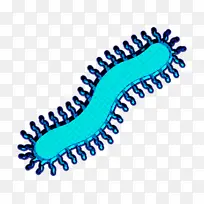 蜈蚣图标 虫子图标 昆虫图标-空若网 蜈蚣图标 虫子图标 昆虫图标-空若网