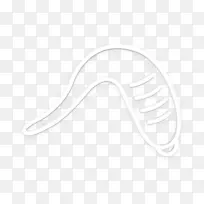 昆虫图标 水蛭图标 文本-空若网 昆虫图标 水蛭图标 文本-空若网