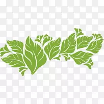 叶菜植物茎科学墙纸-母题-空若网 叶菜植物茎科学墙纸-母题-空若网