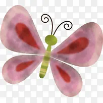 粉色 昆虫 蝴蝶-空若网 粉色 昆虫 蝴蝶-空若网