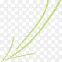 �ֻ��ͷ ֲ�� �ݿ�-������