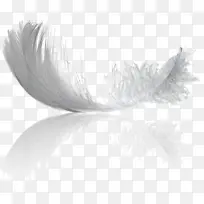 ��ë ��ɫ ��ë��-������