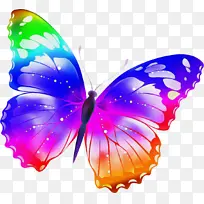 蝴蝶 昆虫 飞蛾和蝴蝶-空若网 蝴蝶 昆虫 飞蛾和蝴蝶-空若网