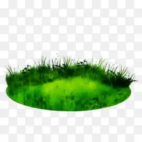 ÂÌÉ« ²Ý ²Ý¿Æ-¿ÕÈôÍø ÂÌÉ« ²Ý ²Ý¿Æ-¿ÕÈôÍø