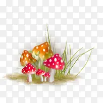 草 植物 装饰品-空若网 草 植物 装饰品-空若网