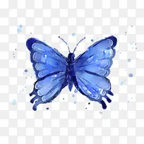 飞蛾和蝴蝶 蝴蝶 昆虫-空若网 飞蛾和蝴蝶 蝴蝶 昆虫-空若网