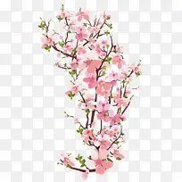 花 植物 粉色-空若网 花 植物 粉色-空若网