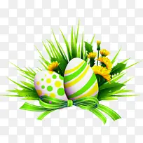 复活节彩蛋 草 植物-空若网 复活节彩蛋 草 植物-空若网