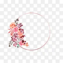 �ɹ���Ʒ�ۺ�ɫ ���� �;�-������