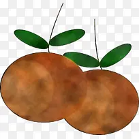 叶子 植物 水果-空若网 叶子 植物 水果-空若网