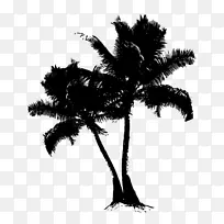 树 棕榈树 槟榔-空若网 树 棕榈树 槟榔-空若网