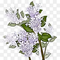 �� ���� ֲ��-������