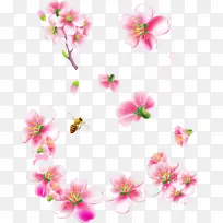 粉色 花朵 植物-空若网 粉色 花朵 植物-空若网