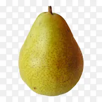 梨 水果 树-空若网 梨 水果 树-空若网
